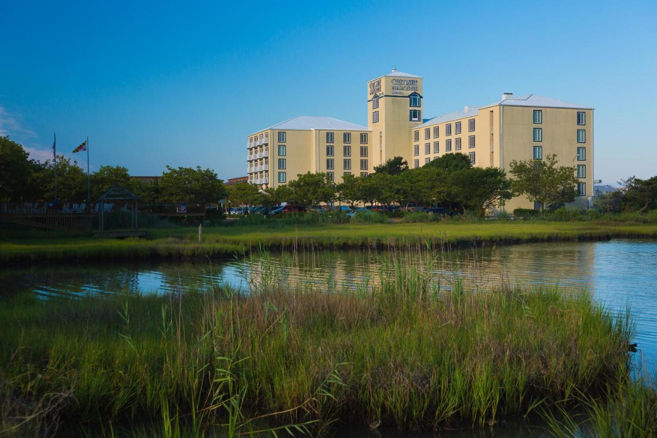 Coconut Malorie Resort Hotel, Ascend Hotel Collection Ocean City Exterior photo